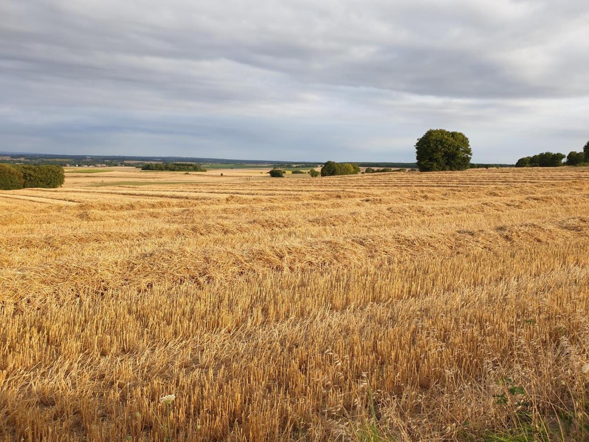 Tusson Chambres D'Hotes Charente Εξωτερικό φωτογραφία